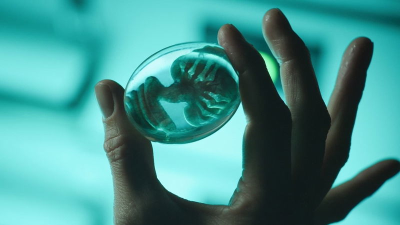 Still 'Alien: Covenant' via TMDb