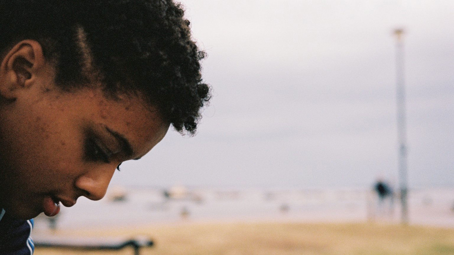Recensie 'Bird'
