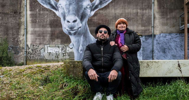 Recensie 'Visages Villages'
