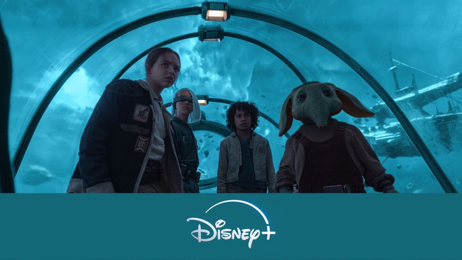 Nieuw op Disney+: de beste nieuwe films & series (week 49, 2024)