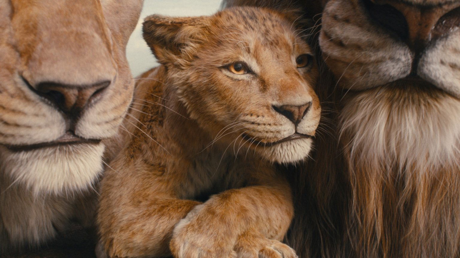 Deze 10+ films zijn vanaf deze week nieuw in de bioscoop (week 51, 2024)