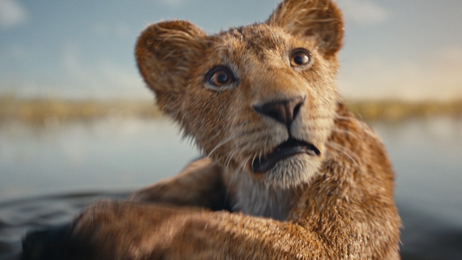 De top 10 populairste films nu in de bioscoop