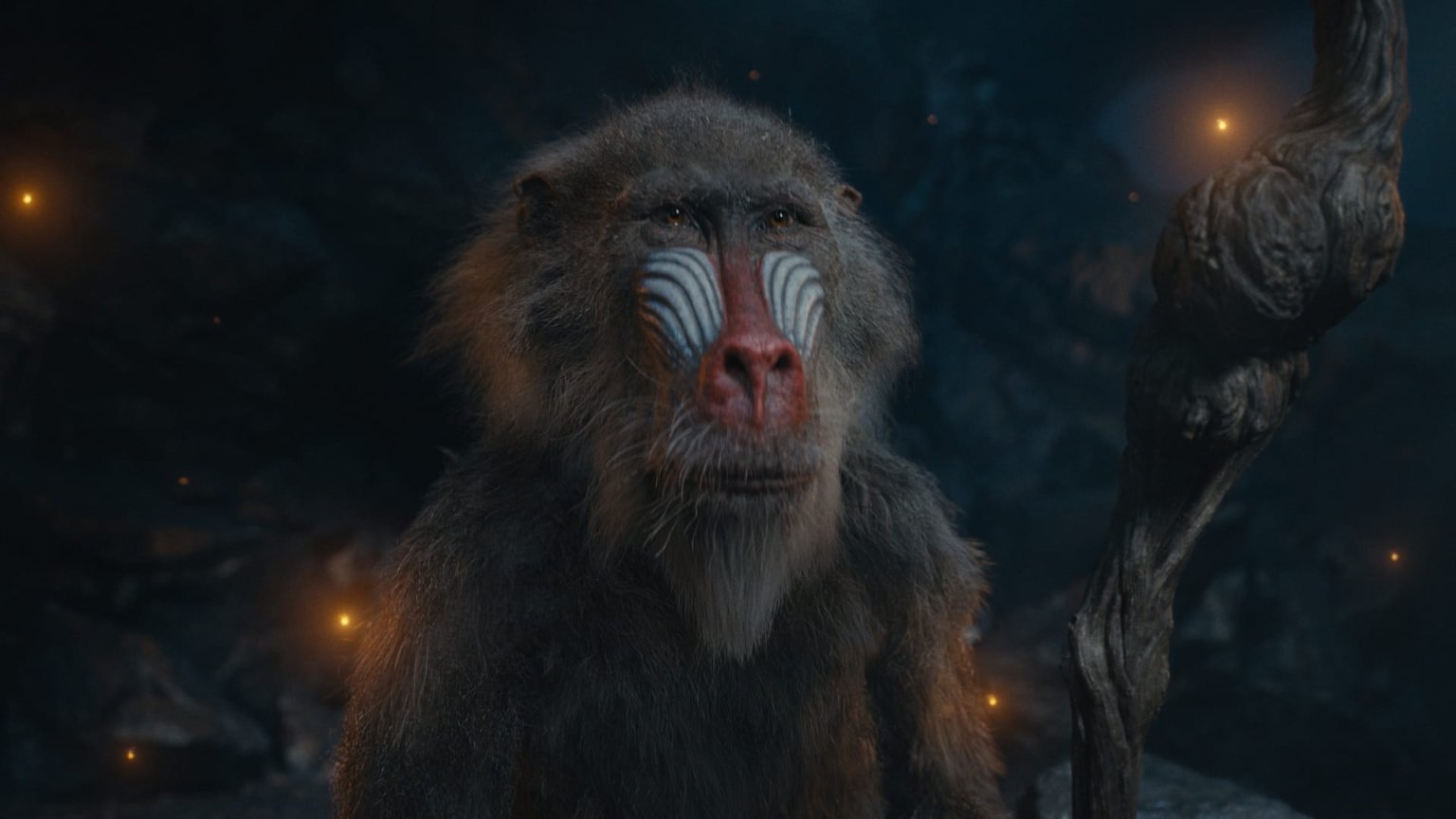 Dit was in de Verenigde Staten de populairste bioscoopfilm op kerstdag 2024
