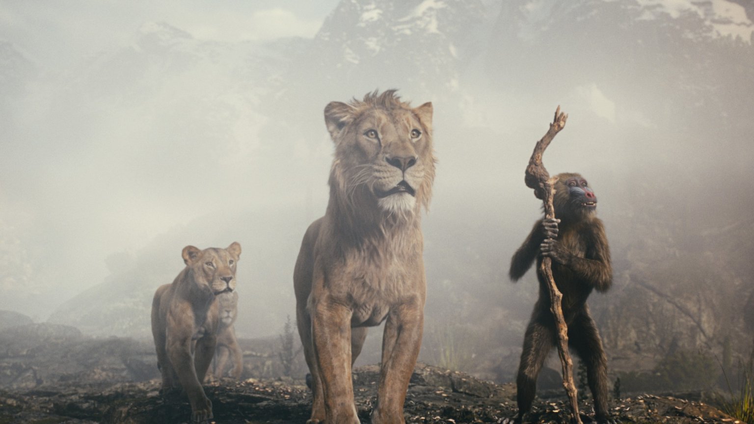 De top 10 populairste films nu in de bioscoop