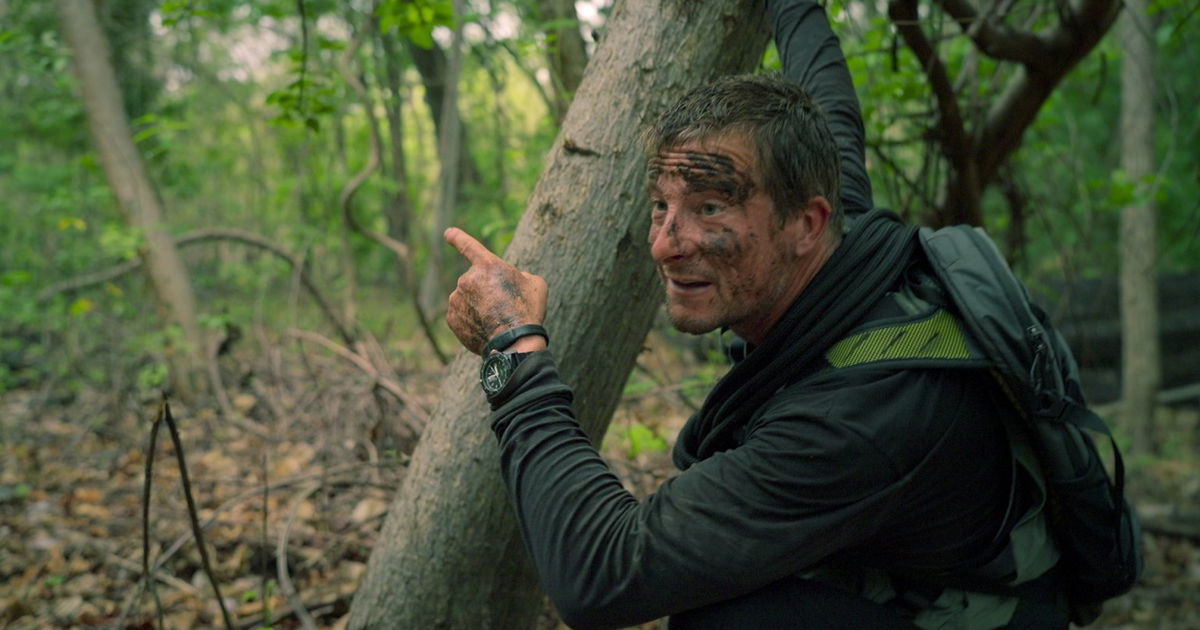 Overlevingsexpert Bear Grylls jaagt op beroemdheden in nieuwe Netflix-serie