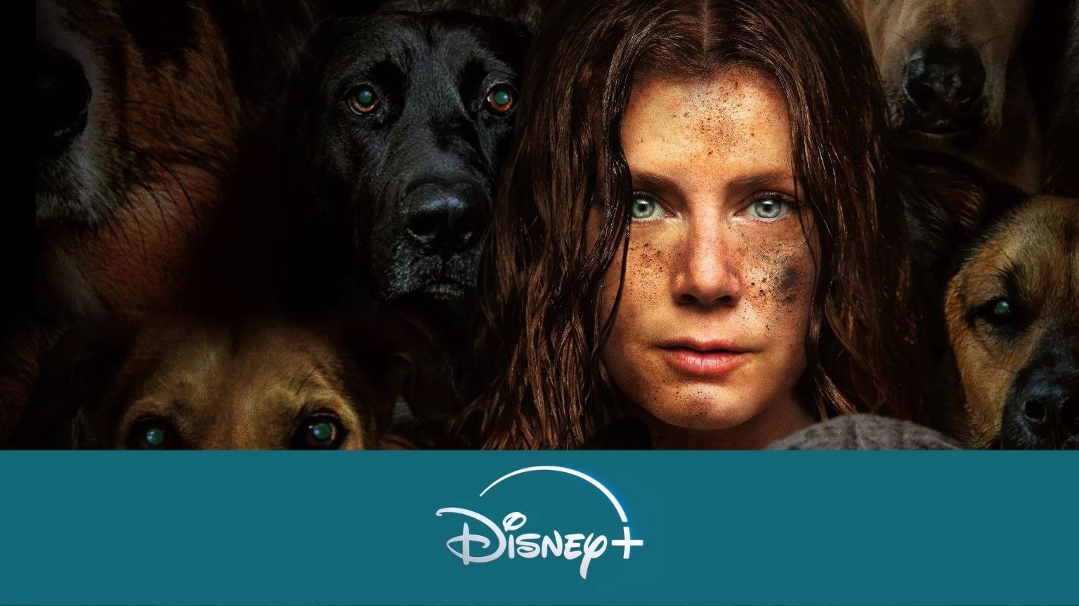 De beste nieuwe films & series op Disney+ (week 4, 2025)