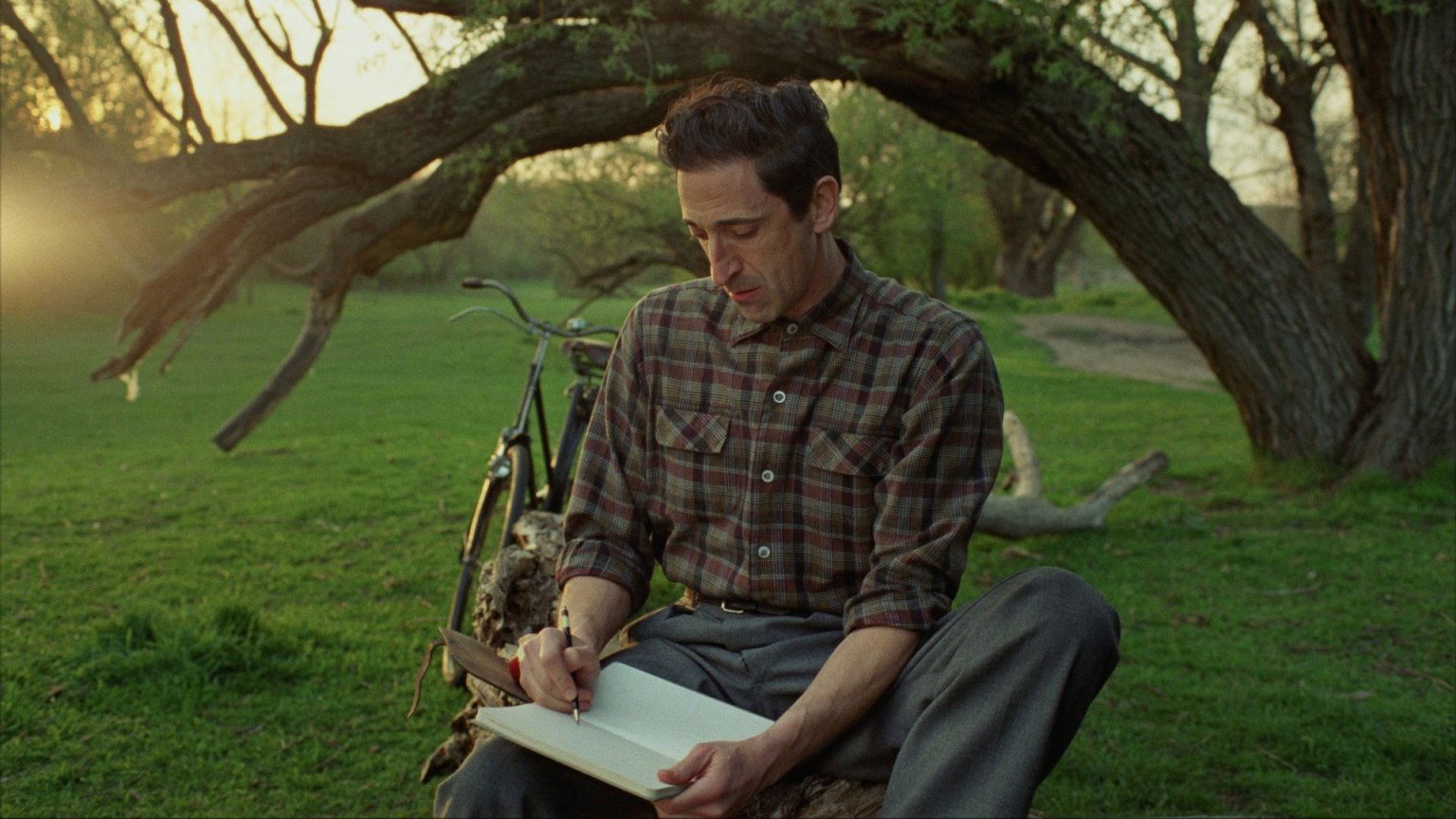 Veelgeprezen Oscarkanshebber met Adrien Brody vanaf deze week te zien