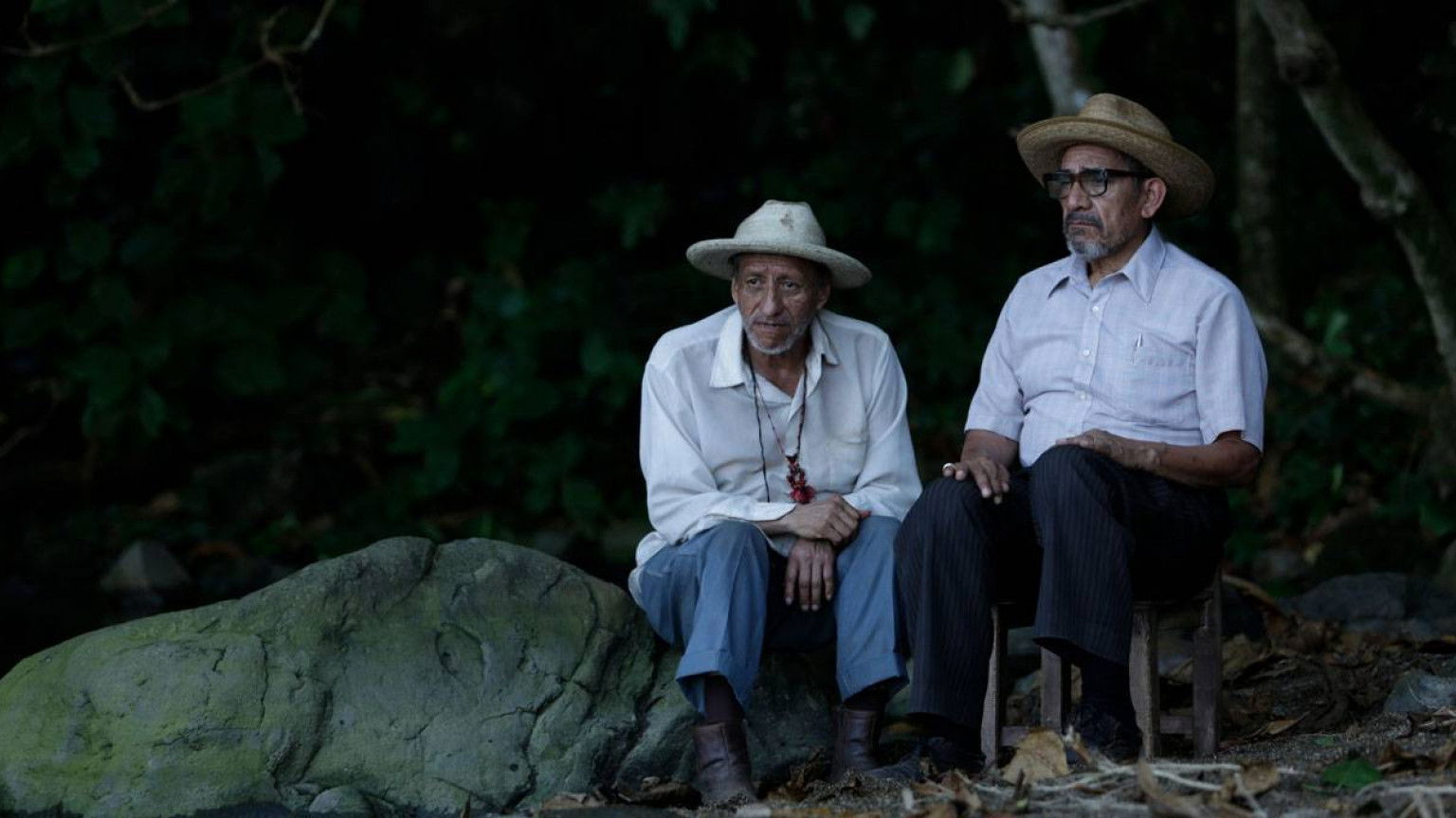 Recensie 'I Dream in Another Language'