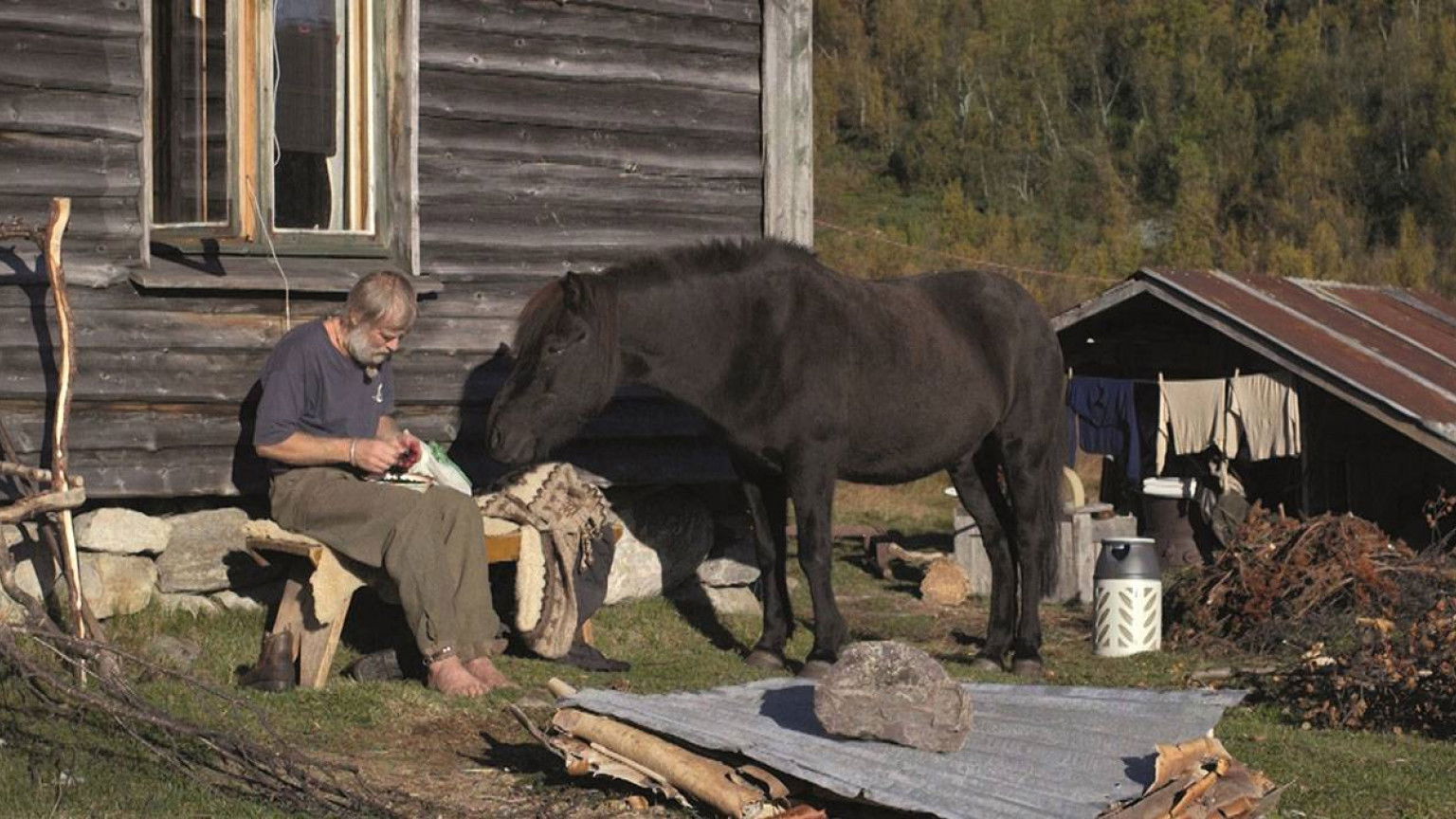 Recensie 'Drømmeland'