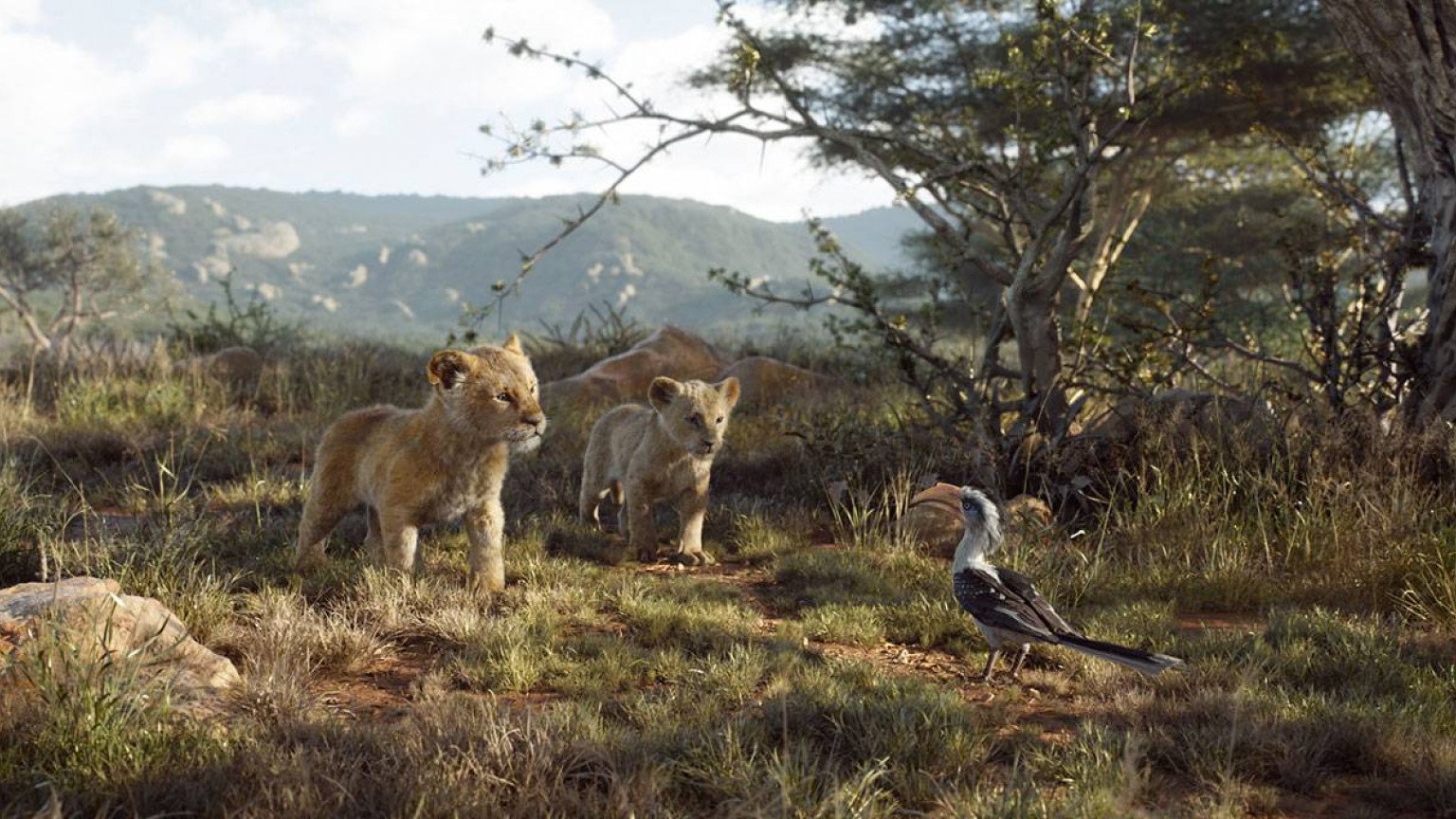 ophouden Actief vorst Recensie 'The Lion King' - FilmVandaag.nl