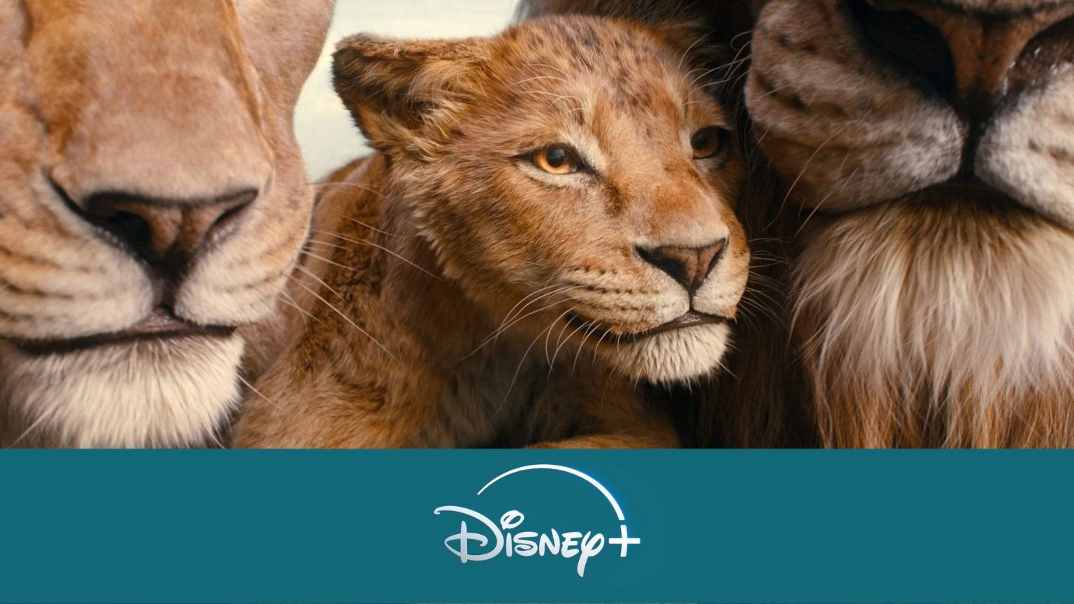 De beste nieuwe films en series op Disney+ (week 13, 2025)