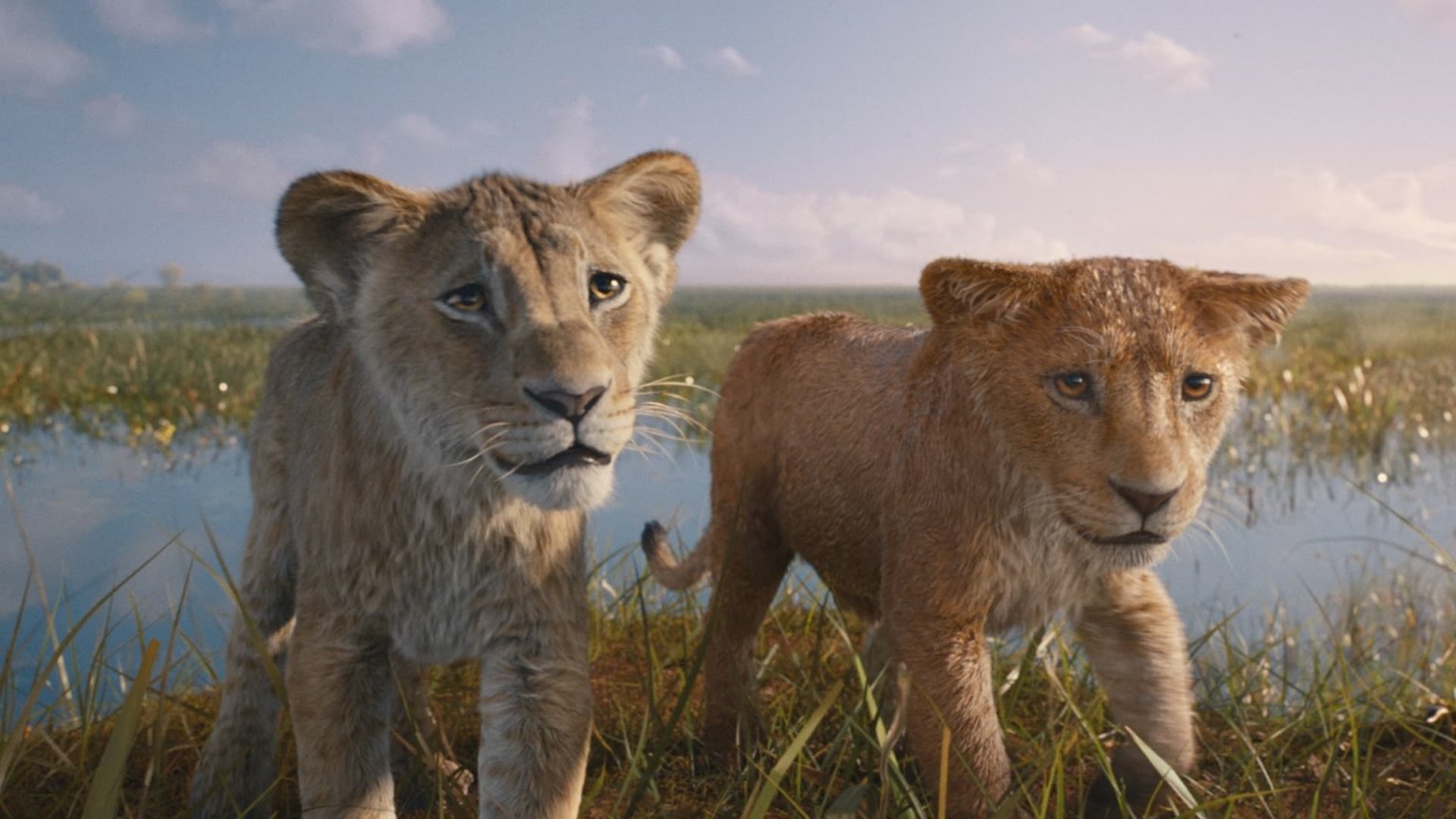 Bioscoopfilm 'Mufasa: The Lion King' vanaf vandaag te streamen