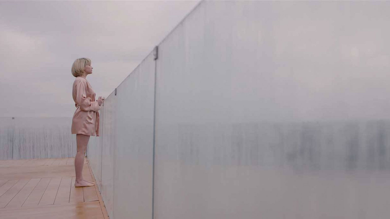 Recensie 'Swallow'