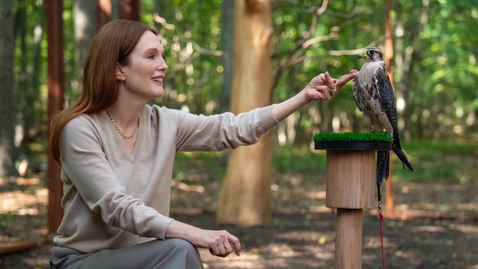 Netflix onthult eerste  trailer van serie 'Sirens' met Oscarwinnares Julianne Moore