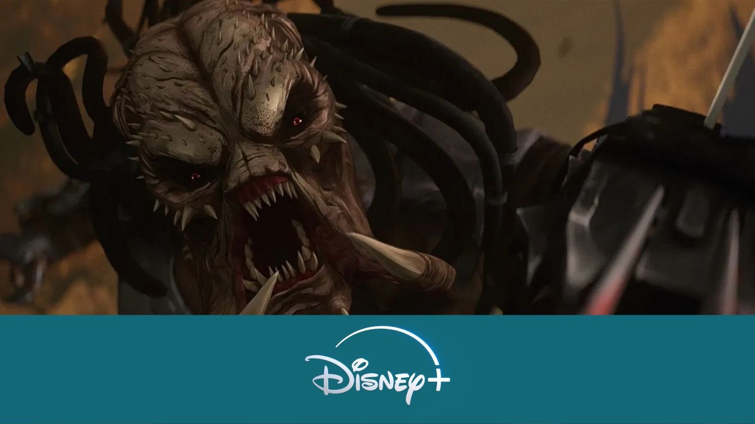 Dit zijn de beste nieuwe films en series op Disney+ (week 23, 2025)