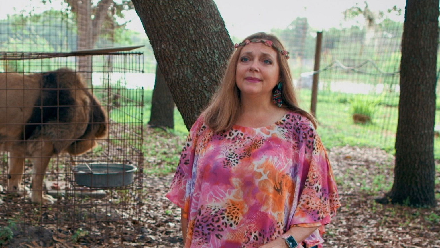 'Tiger King'-ster Carole Baskin krijgt een eigen serie waarin ze dierenmishandelaars opspoort