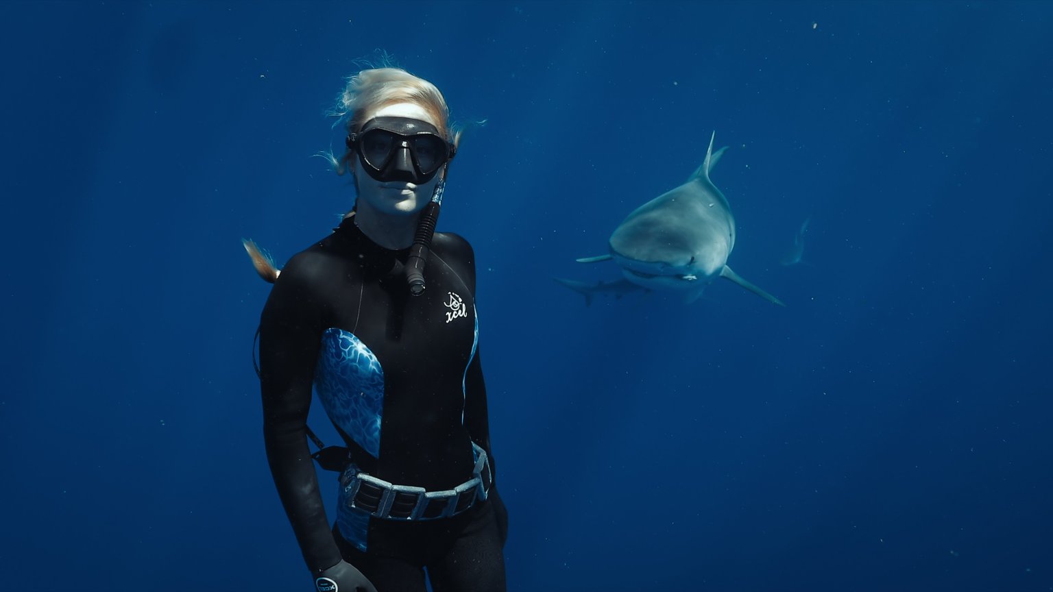 Nieuwe dierendocu van 'My Octopus Teacher'-maker nu te zien op Netflix