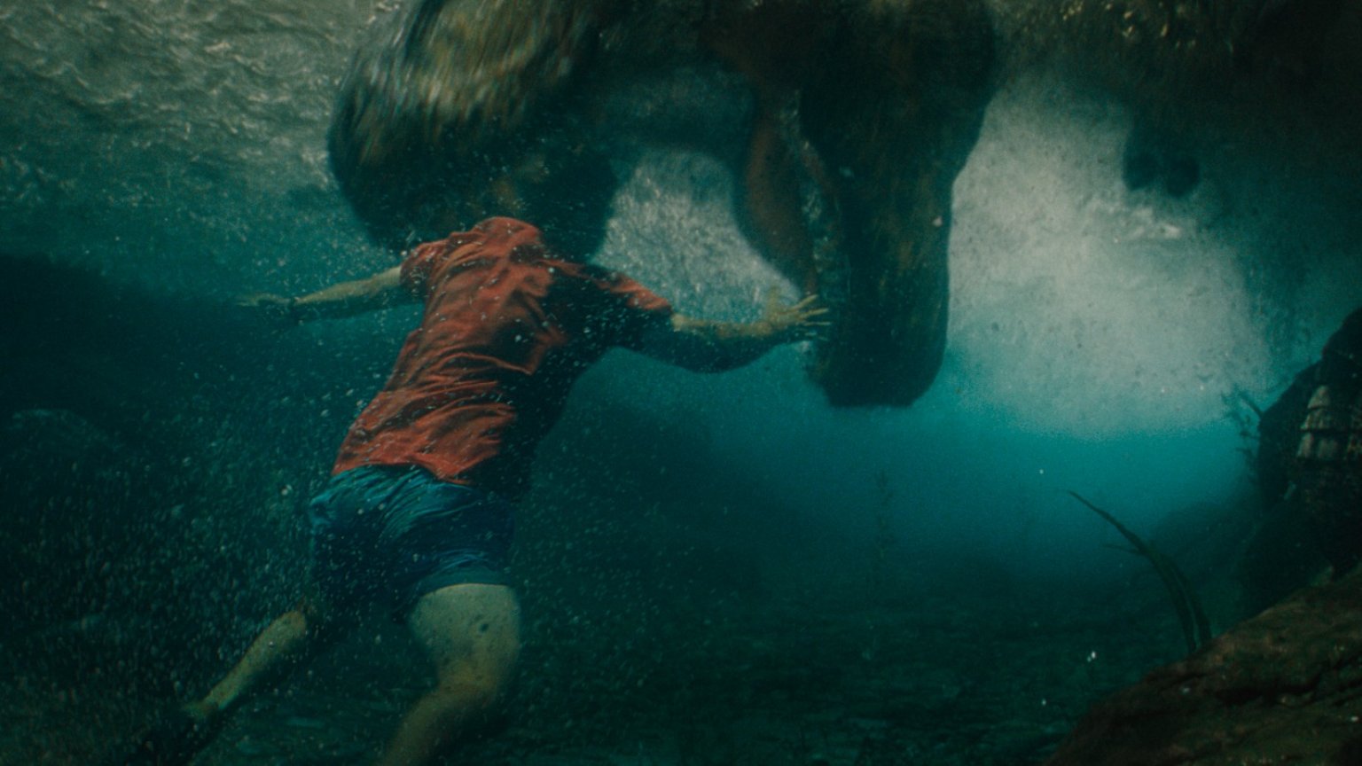 De top 10 populairste films nu in de bioscoop
