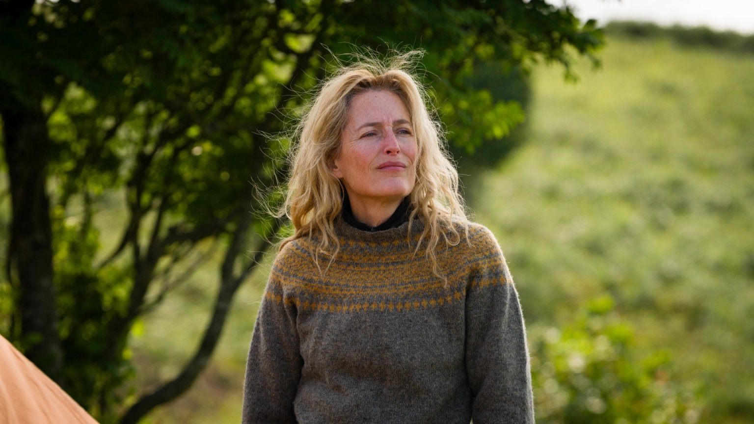 Schrijfster 'The Salt Path' ontkent kijkersbedrog na onthullend artikel