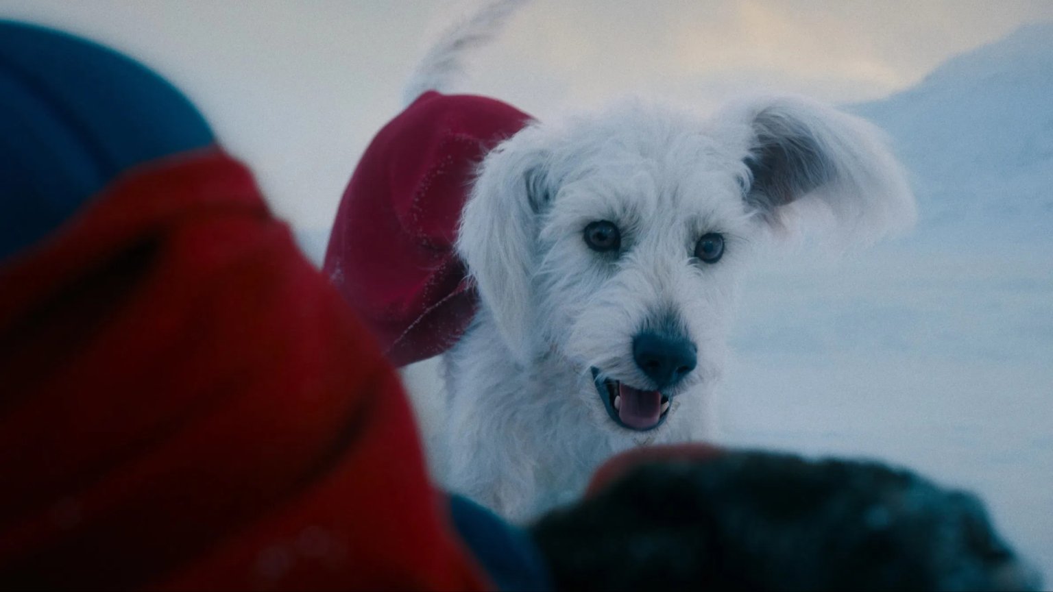Hond Krypto in 'Superman' zorgt voor grote stijging in adoptie