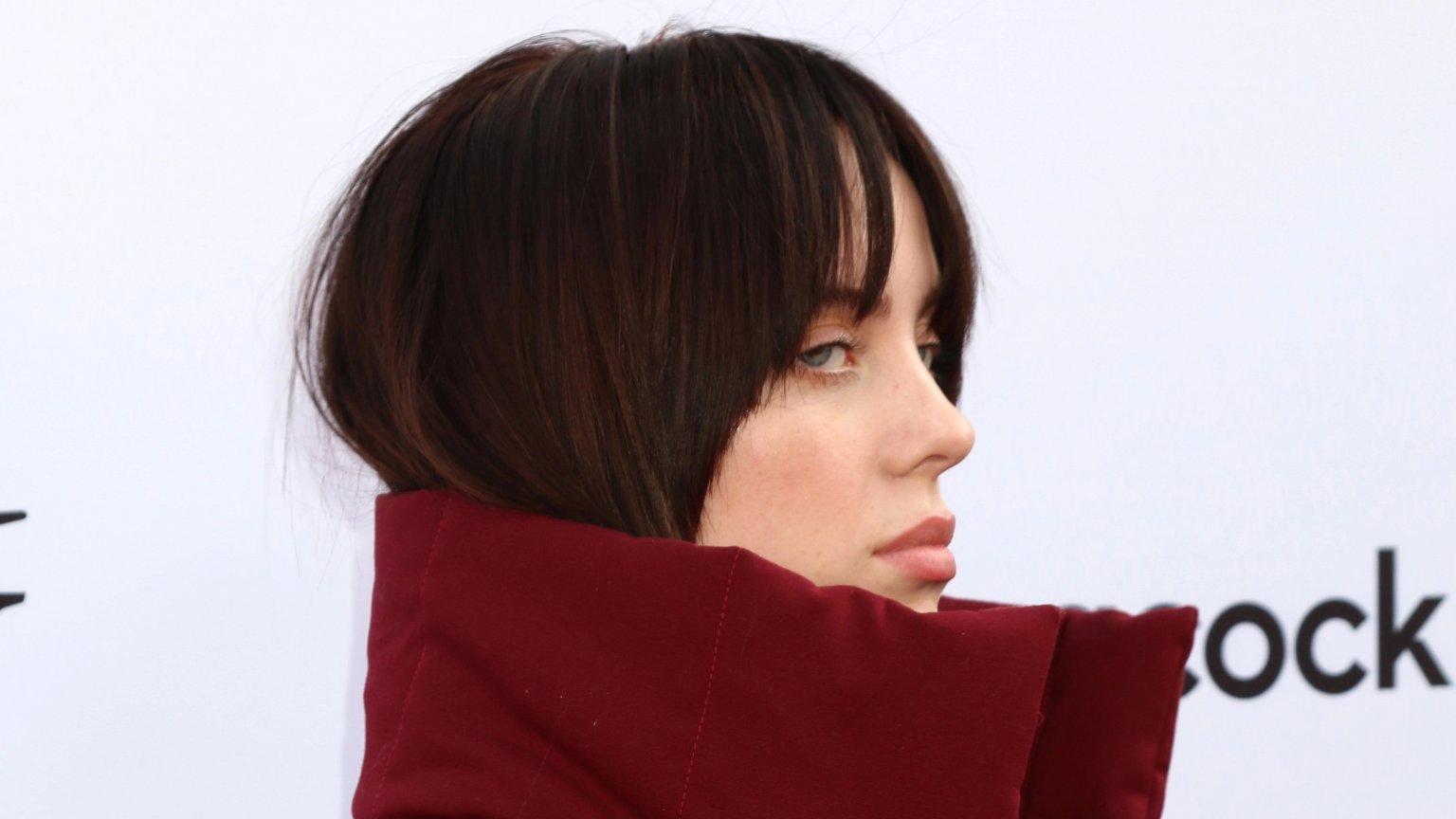 Zangeres Billie Eilish bundelt krachten met 'Titanic'-regisseur James Cameron voor nieuw project