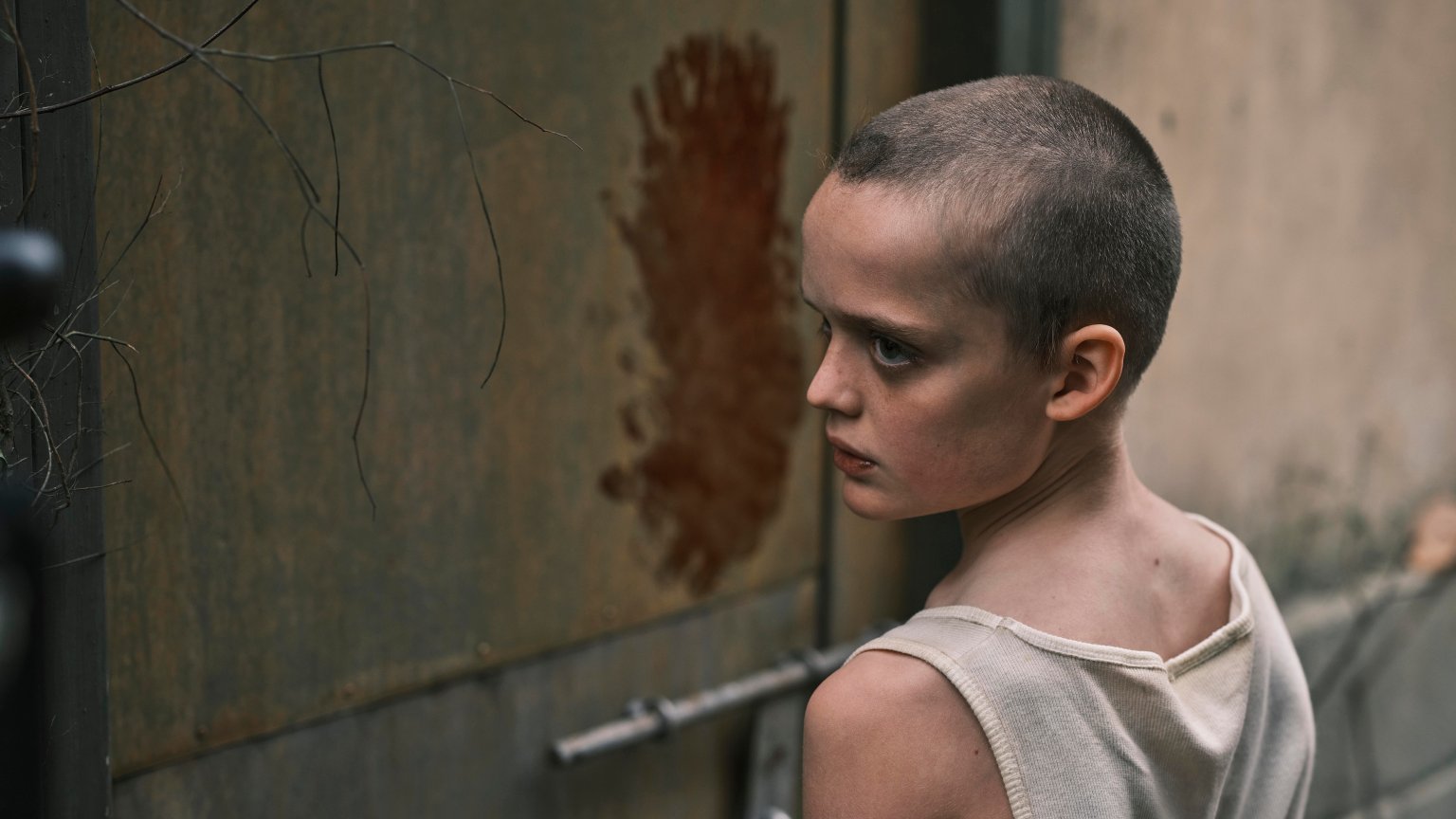 Deze 10 films zijn vanaf deze week nieuw in de bioscoop (week 31, 2025)