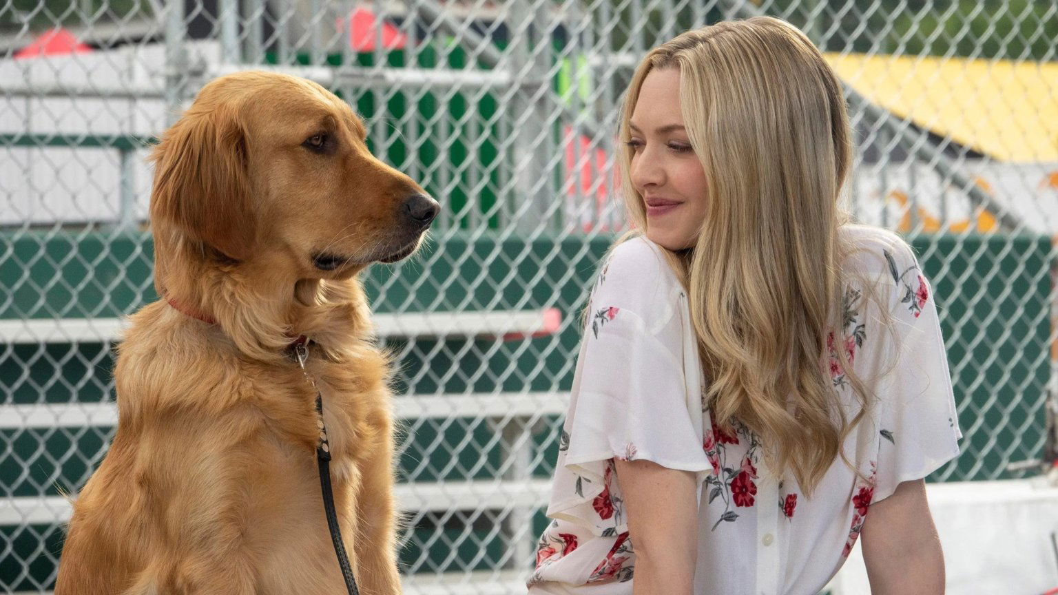 Deze aangrijpende tranentrekker met Amanda Seyfried komt naar Netflix