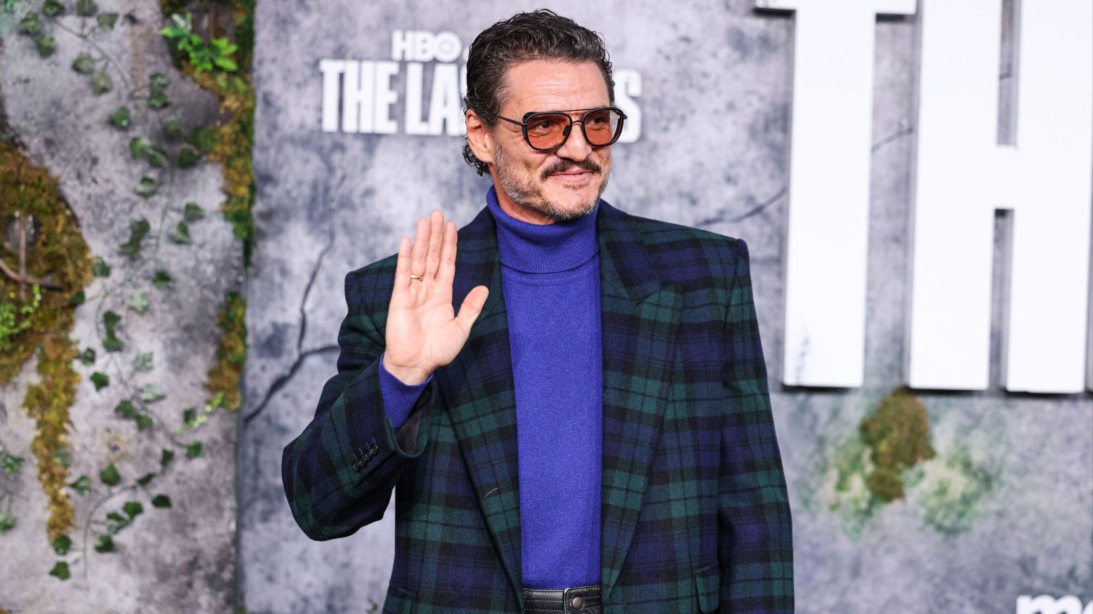 Pedro Pascal redt romantische queerfilm van Todd Haynes