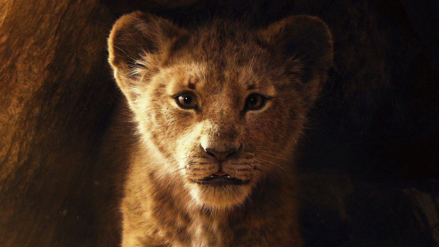 Vervolg op live-actionremake van 'The Lion King' in de maak door Oscarwinnaar Barry Jenkins