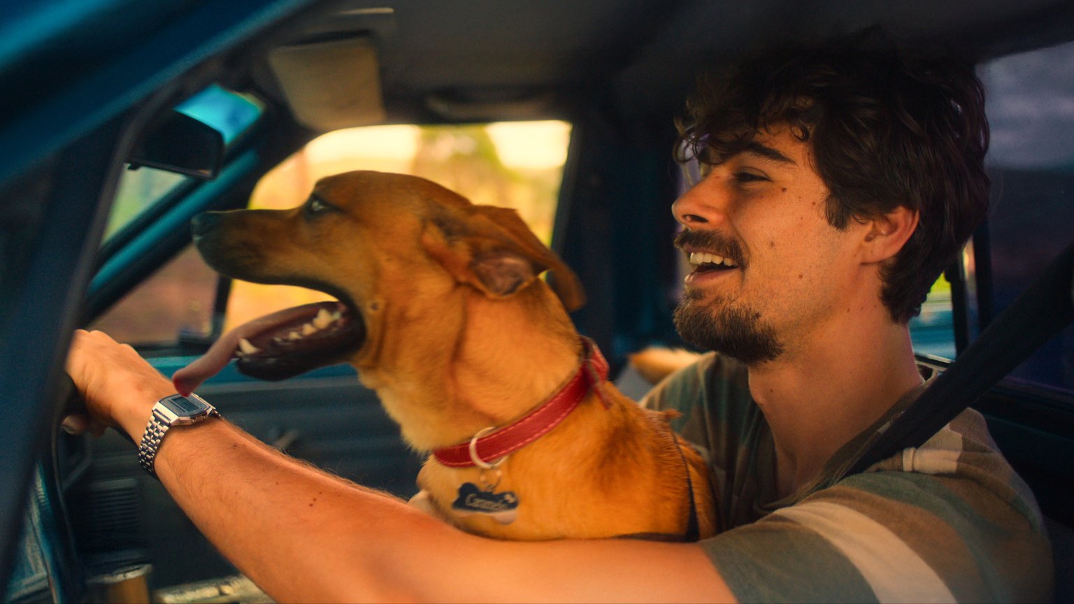 Nieuwe emotionele Netflix-film over hond en zijn zieke baasje nu te zien