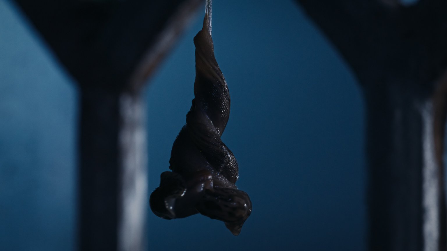 Natuurdocu met horrorrandje vanaf vandaag te zien op Netflix