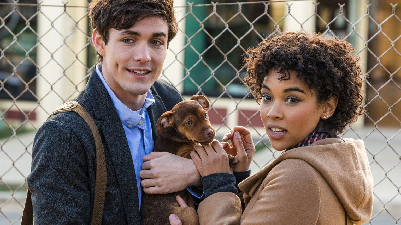 Vier dit weekend Dierendag met deze 10 hartverwarmende films op Netflix