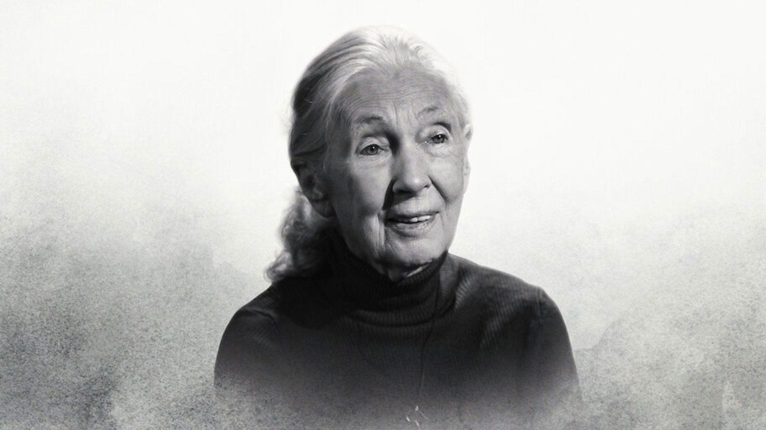Jane Goodall spreekt postuum in Netflix-docu over haar leven en nalatenschap