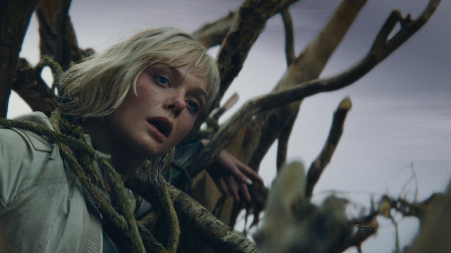 Makers 'Predator: Badlands' met Elle Fanning delen nieuwe trailerbeelden