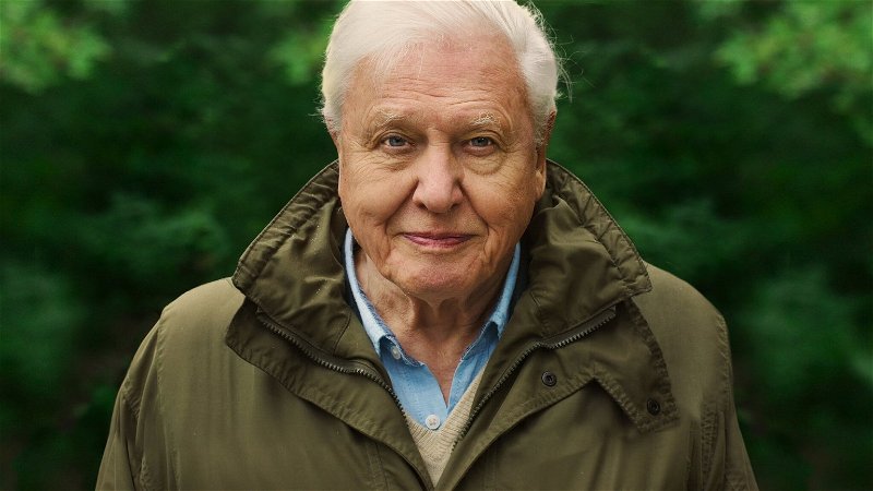 Nieuw op Netflix: 'David Attenborough: A Life on Our Planet'