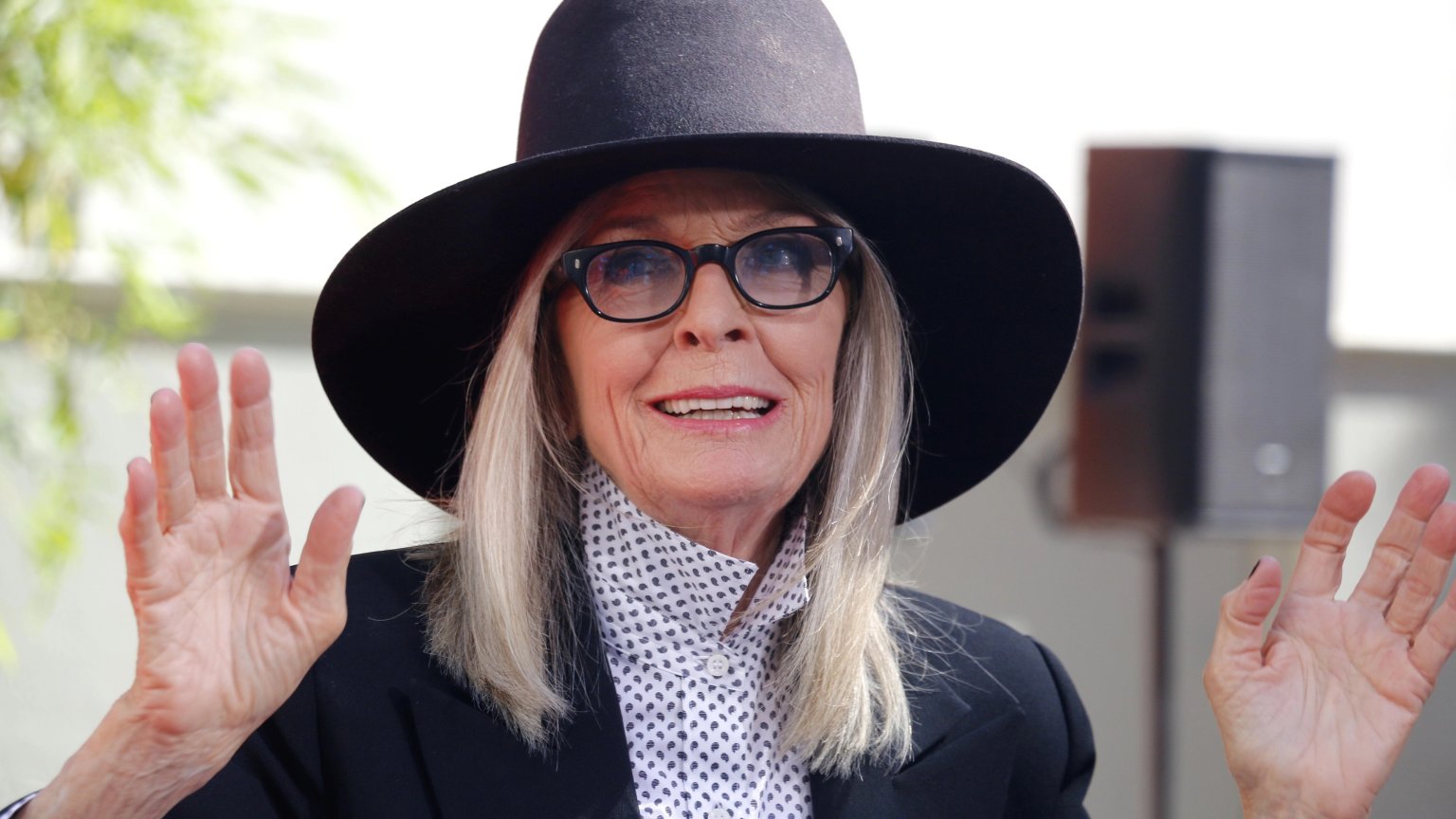 Familie Diane Keaton onthult doodsoorzaak van actrice