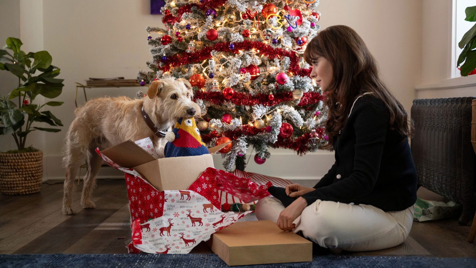 Zooey Deschanel vanaf december te zien in honden-kerstfilm 'Merv'