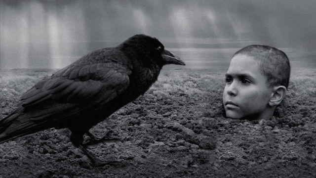 Recensie 'The Painted Bird'