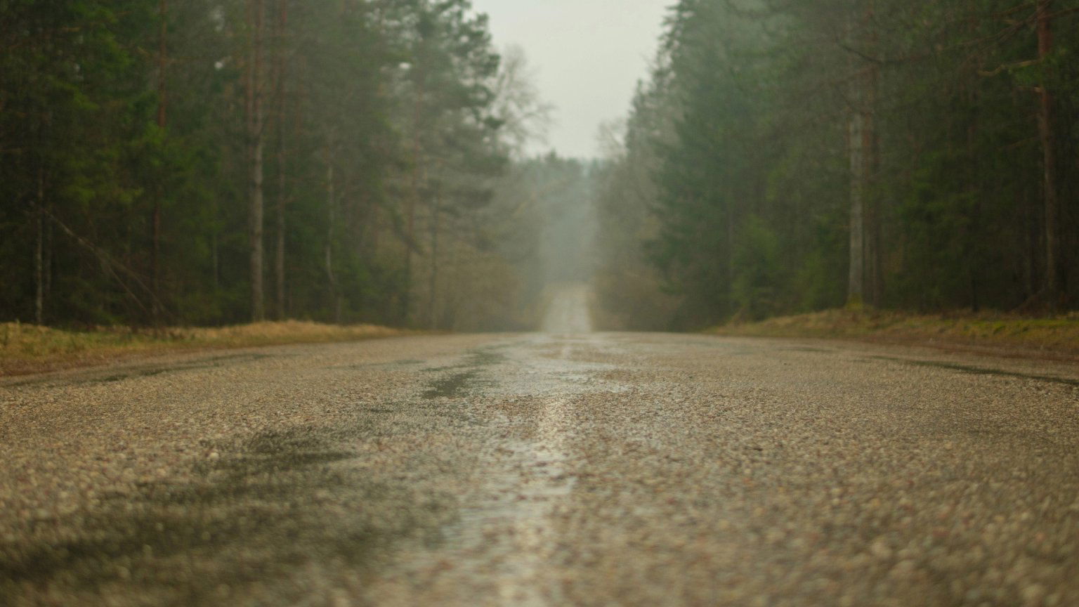 Duistere geheimen komen aan het licht in nieuwe Zweedse Netflix-krimi 'Bytet'