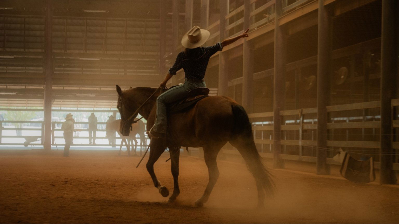 Deze Netflix-series werden in 2025 gecanceld