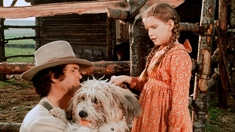 Still 'Little House on the Prairie' via TMDb
