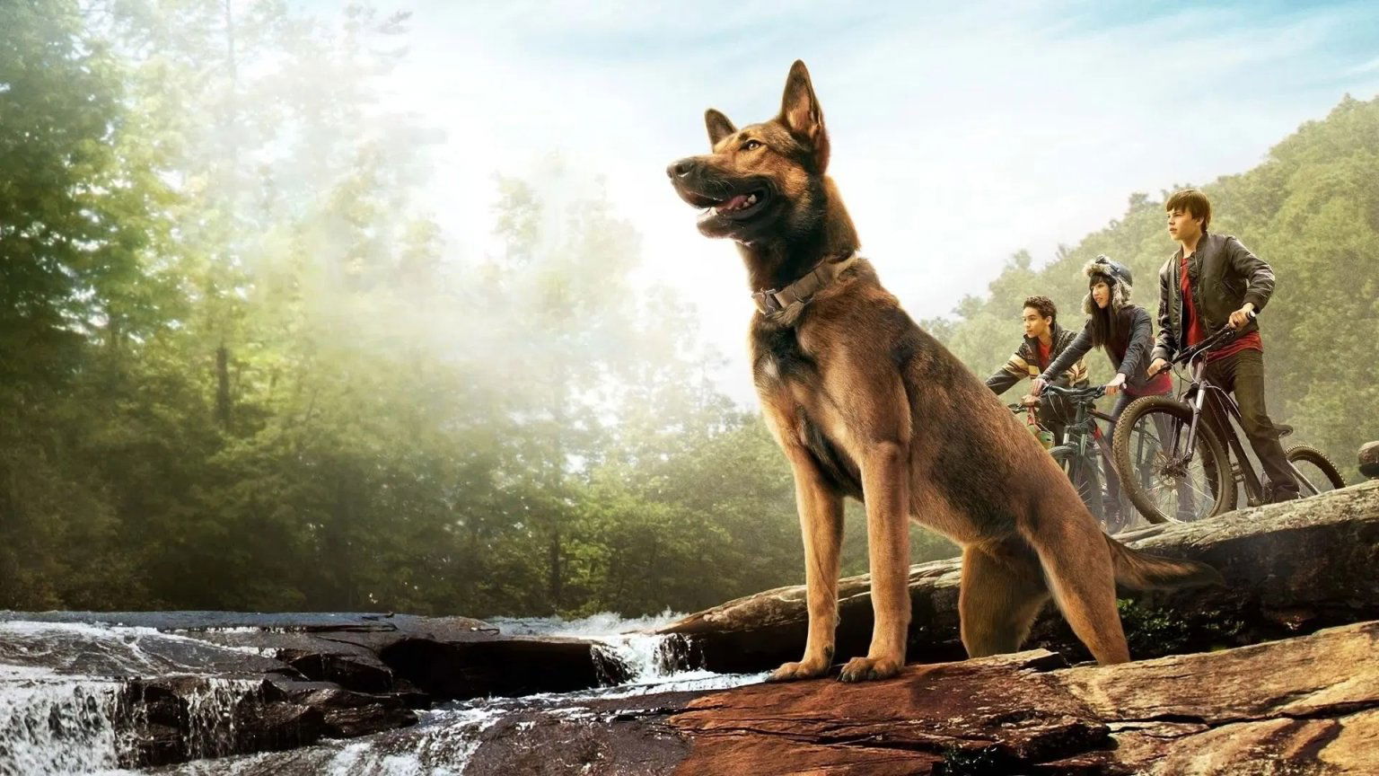 Avontuurlijke hondenfilm voor het hele gezin wordt massaal bekeken op Netflix