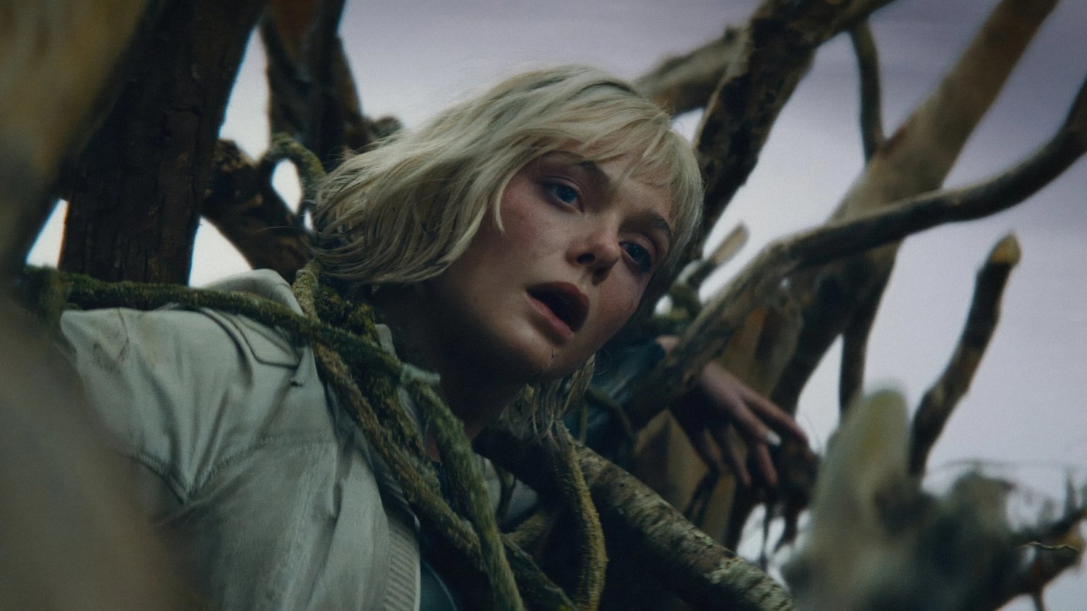 Nieuwste 'Predator'-film vanaf vandaag te streamen