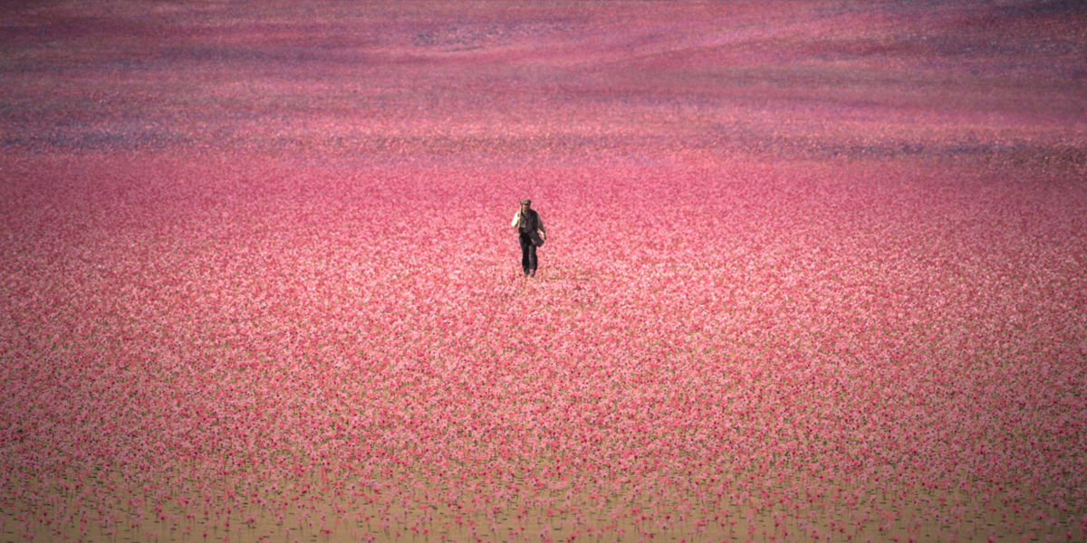 Afbeelding via Amazon MGM Studios