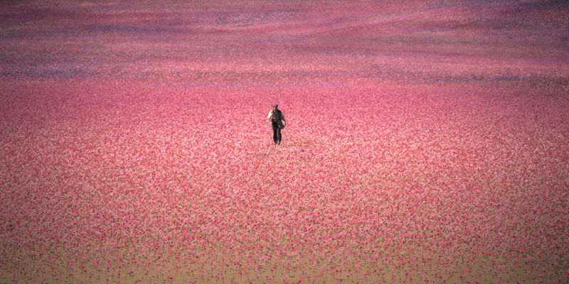 Afbeelding via Amazon MGM Studios