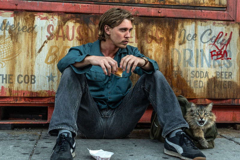 2025 CTMG. All Rights Reserved.