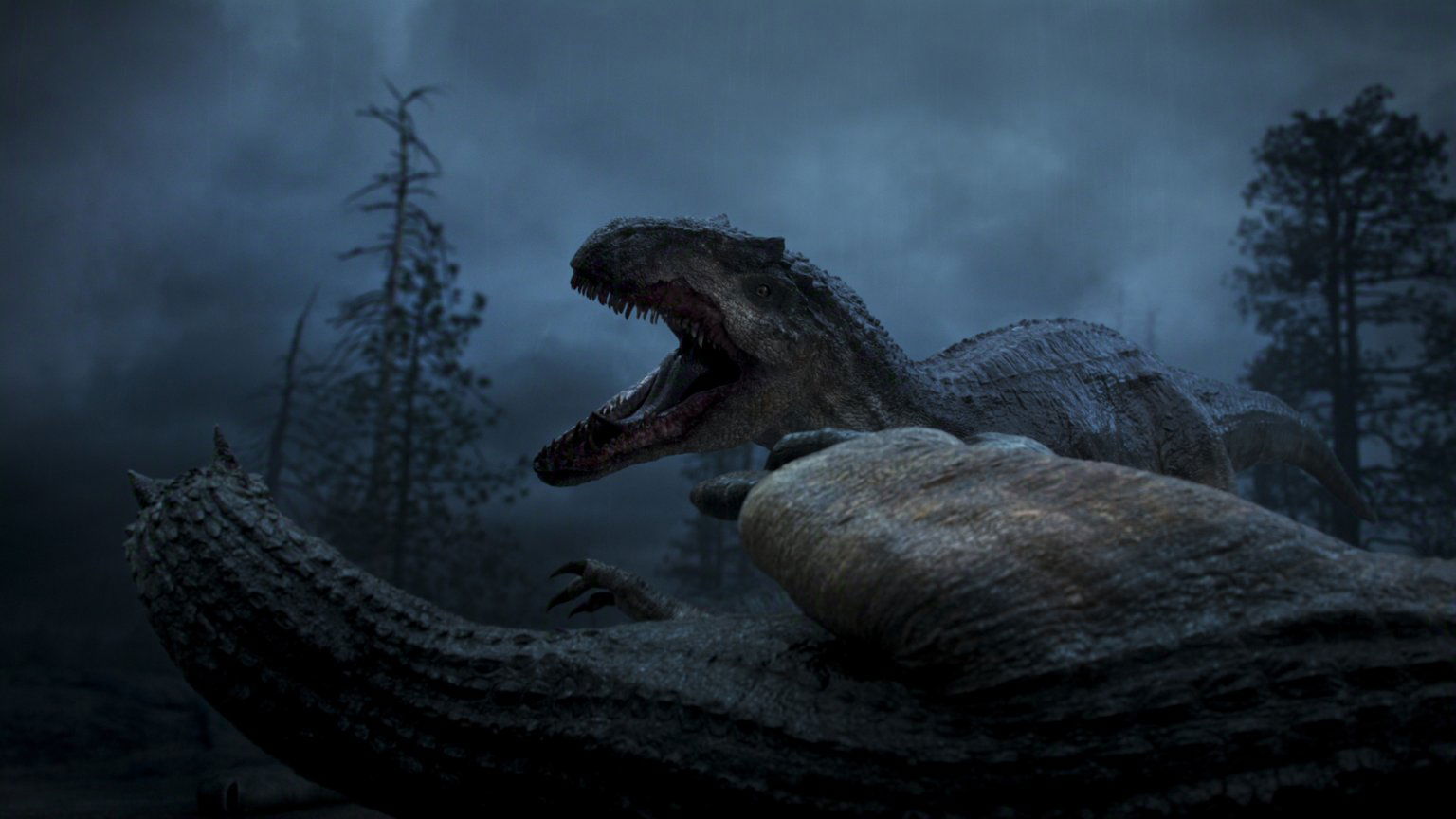 Nieuwe natuurdocuserie van 'Our Planet'-makers vanaf vandaag op Netflix