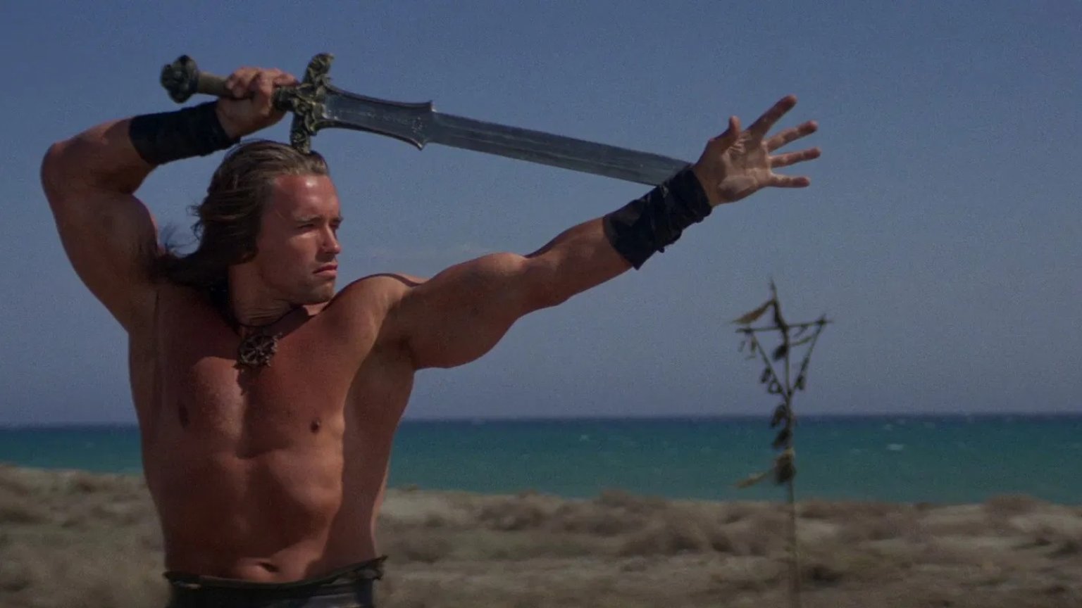 Arnold Schwarzenegger kruipt opnieuw in de huid van Conan the Barbarian