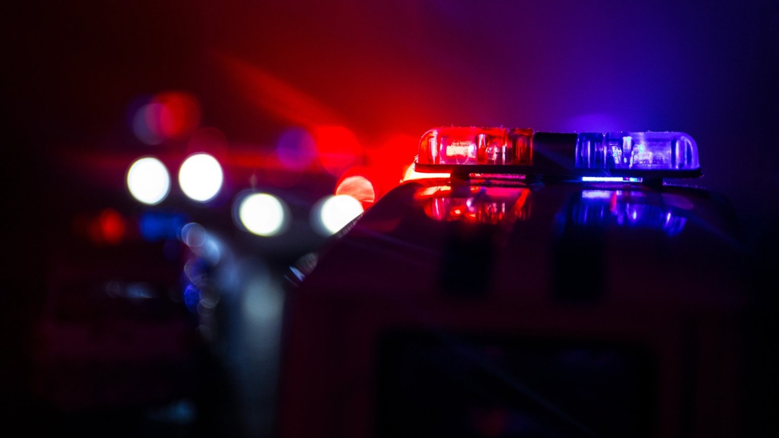 Nieuwe bizarre docuserie wereldwijd aan kop op Netflix: 'Heel wild'