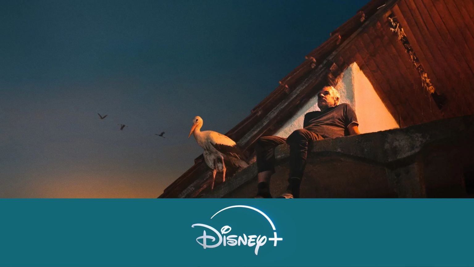 Nieuw op Disney+: de beste nieuwe films & series (week 12, 2026)